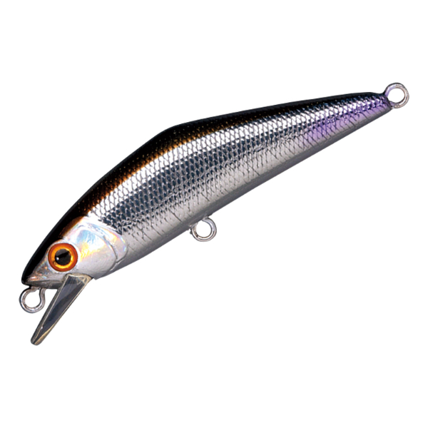 Ｄ－コンタクト　６３(＃１３　ワカサギ)